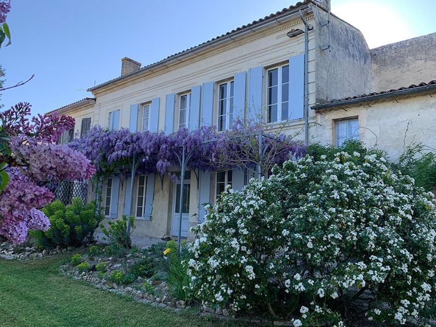 Maison Jeroboam Hotel Saint-Estèphe Værelse billede