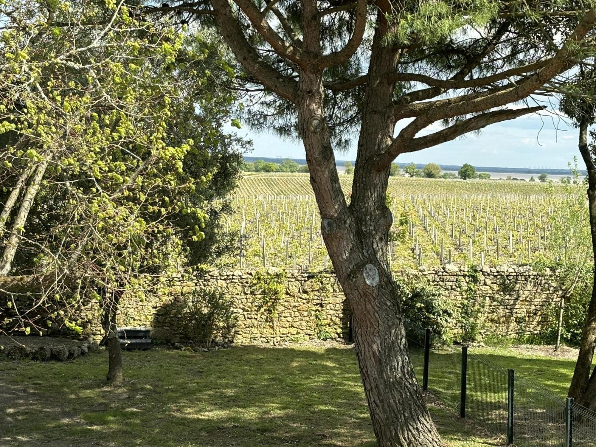 Maison Jeroboam Hotel Saint-Estèphe Eksteriør billede