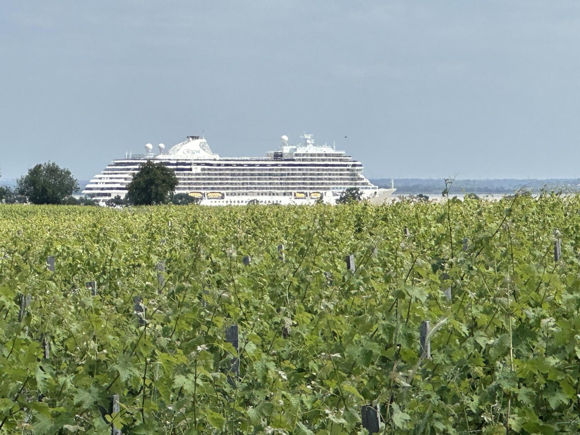 Maison Jeroboam Hotel Saint-Estèphe Eksteriør billede