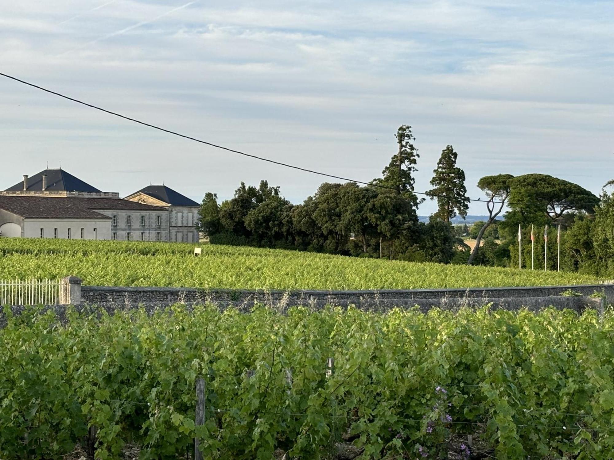 Maison Jeroboam Hotel Saint-Estèphe Eksteriør billede