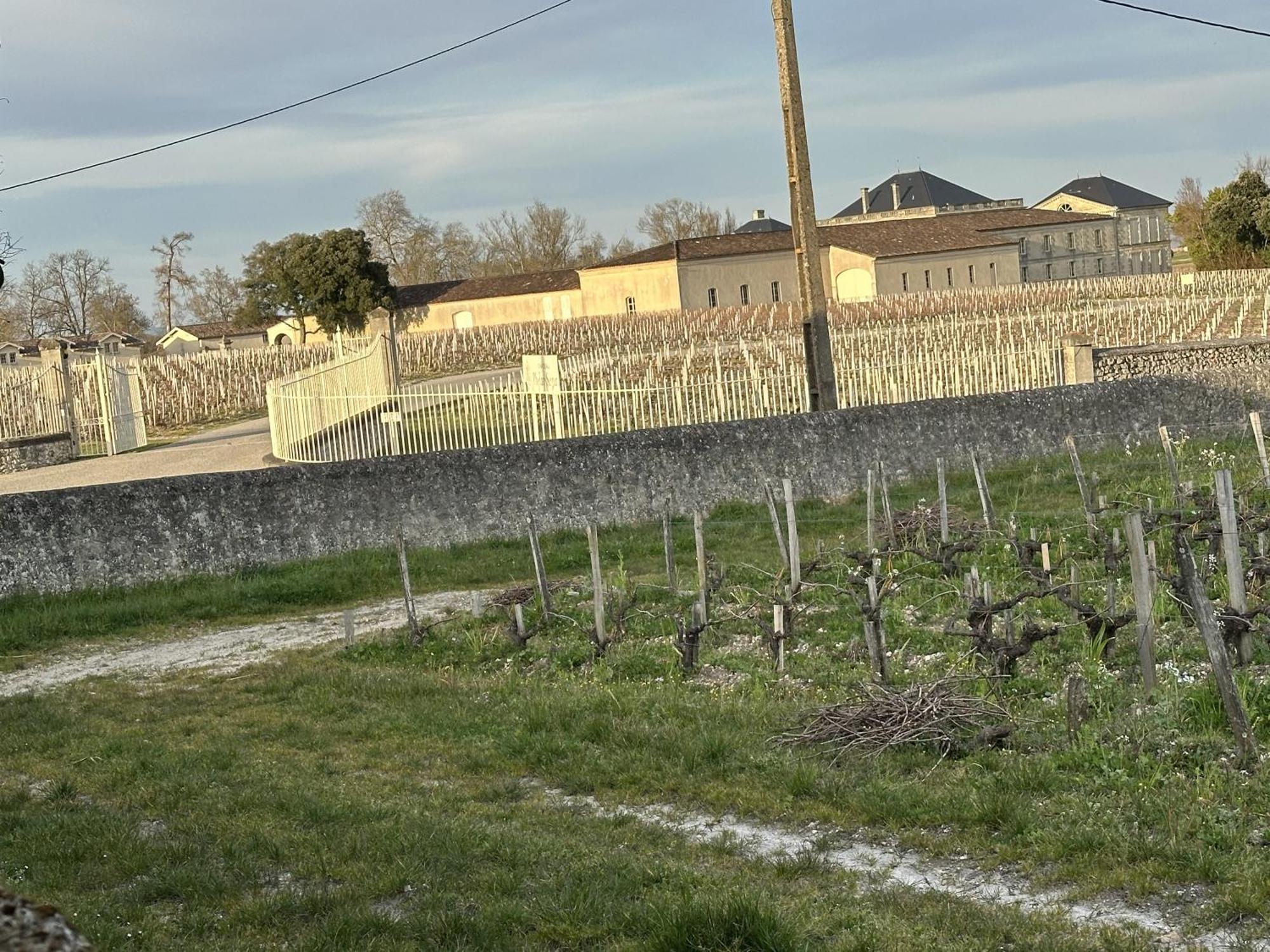 Maison Jeroboam Saint-Estèphe Eksteriør billede